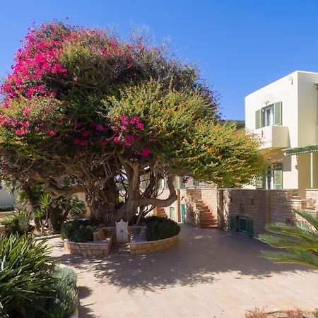 Ξενοδοχείο φοίνικας 4*