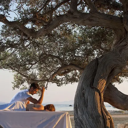 φοίνικας Ξενοδοχείο