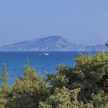 φοίνικας 4*
