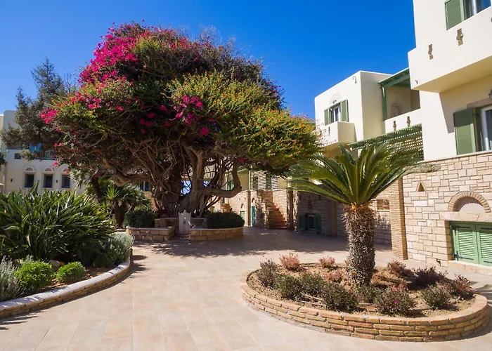 Finikas 4* Plage d'Aliko